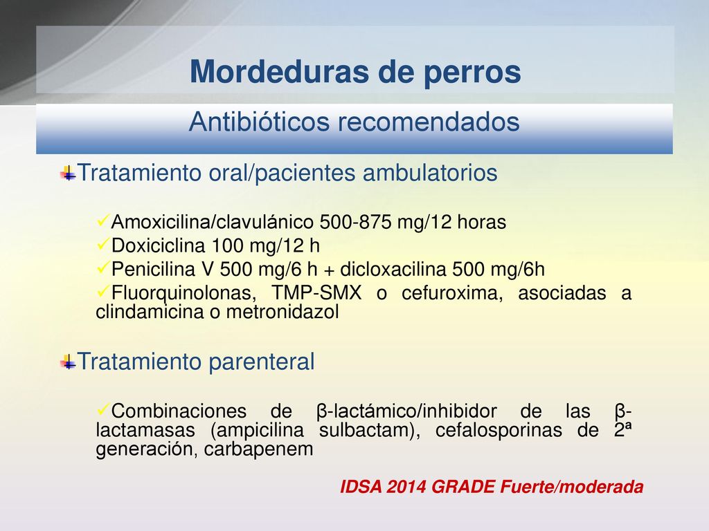 tratamiento de celulitis por mordedura de perro